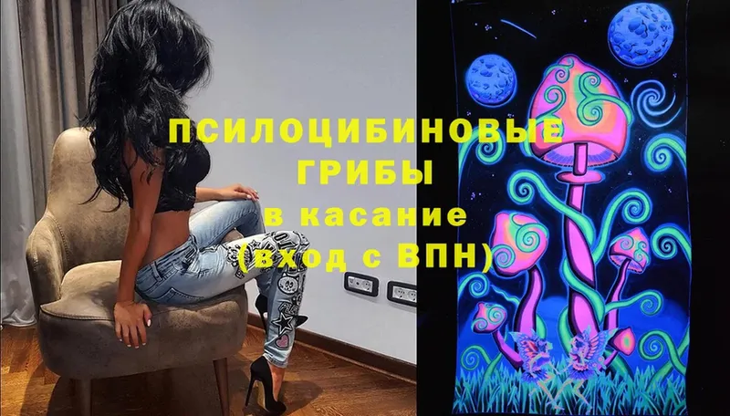 Псилоцибиновые грибы Magic Shrooms Заозёрск